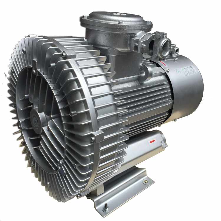 防爆變頻高壓鼓風(fēng)機